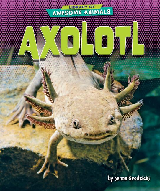 Carte Axolotl 