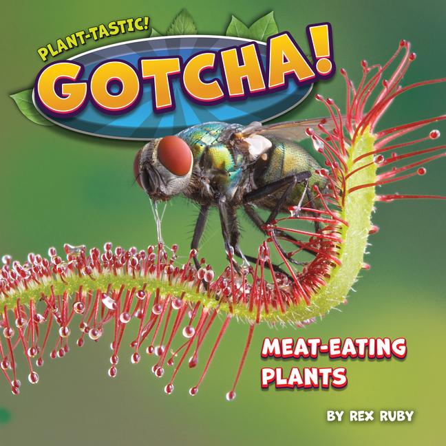 Libro Gotcha! 
