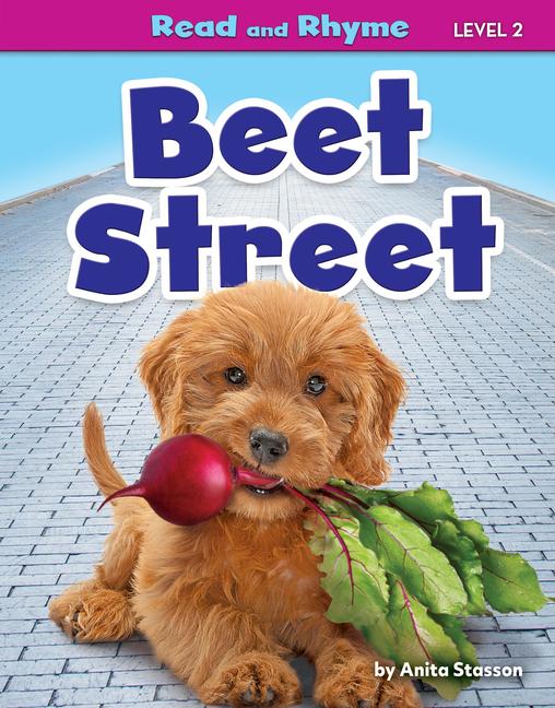 Knjiga Beet Street 