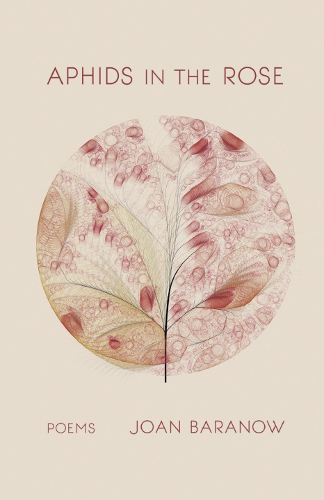 Buch Aphids in the Rose Joan Baranow