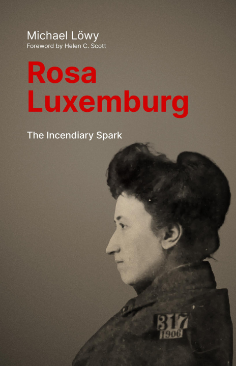 Boek Rosa Luxemburg: The Incendiary Spark: Essays Paul Le Blanc