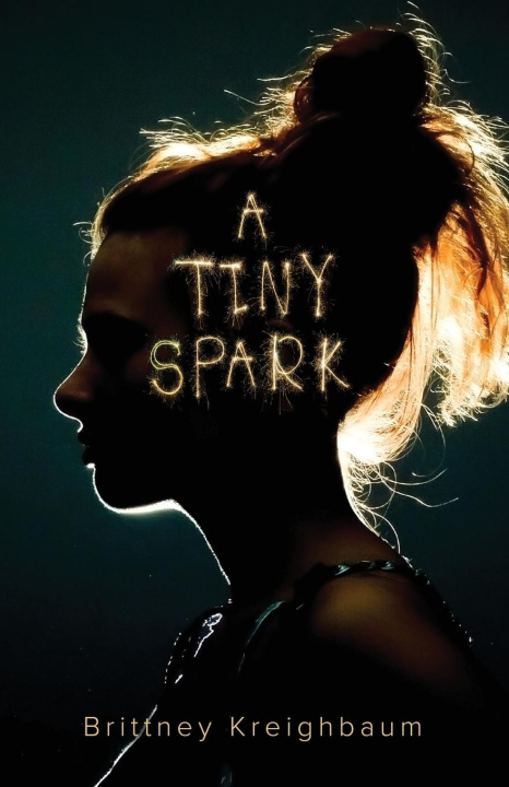 Knjiga A Tiny Spark Brittney Kreighbaum