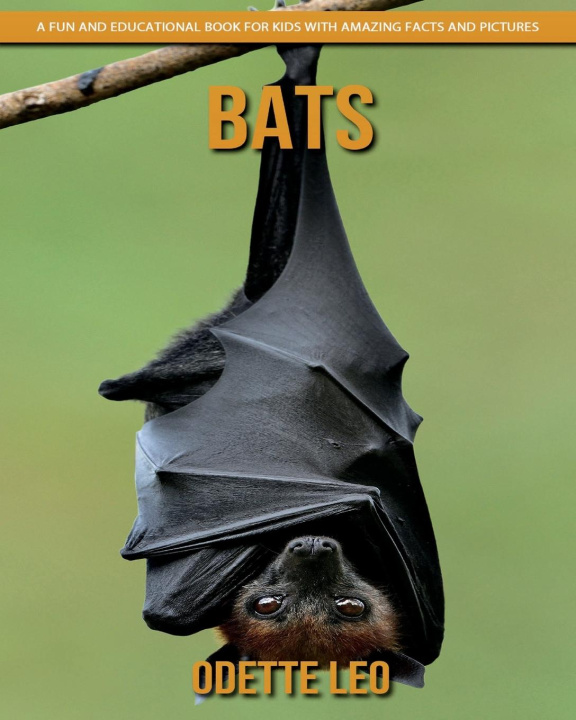 Buch Bats Odette Leo