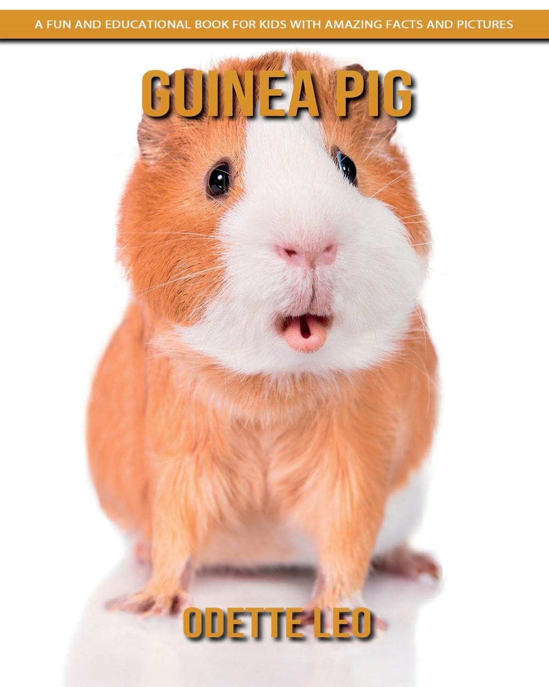 Buch Guinea Pig Odette Leo
