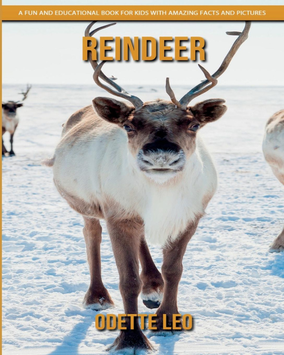 Buch Reindeer Odette Leo
