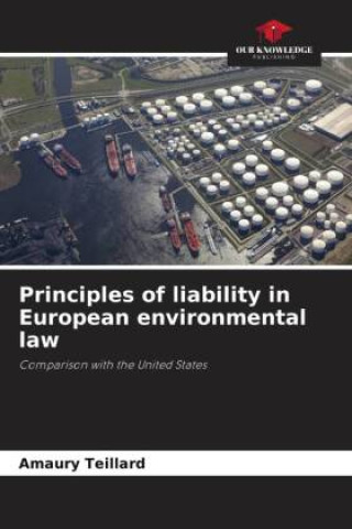 Carte Principles of liability in European environmental law 
