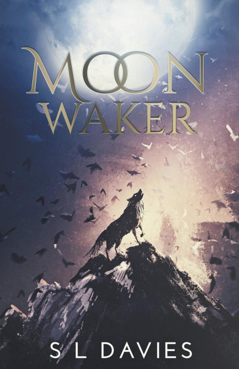 Knjiga Moon Waker S L Davies