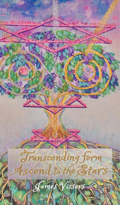 Knjiga Transcending Form James Vissers