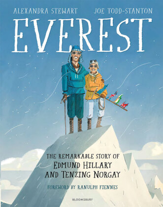 Kniha Everest (Graphic Novel) Joe Todd-Stanton