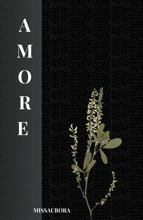 Buch Amore MissAurora
