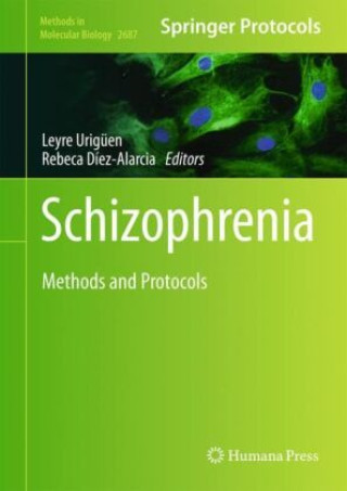 Boek Schizophrenia Leyre Urigüen