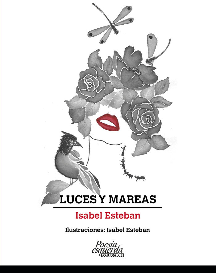 Kniha LUCES Y MAREAS Esteban