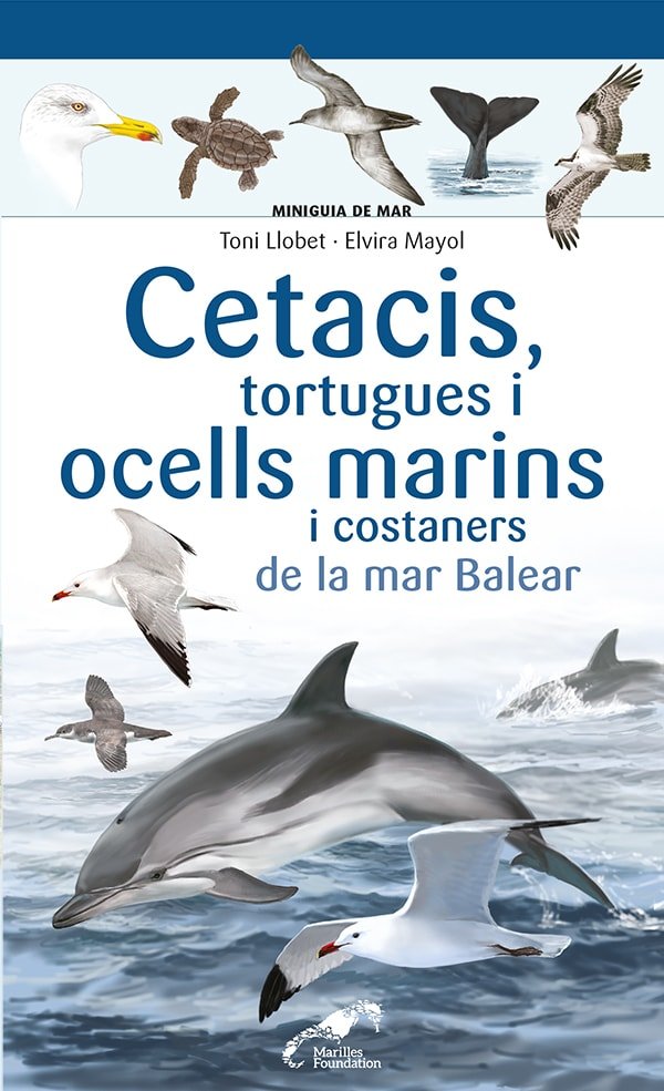 Kniha CETACIS TORTUGUES I OCELLS MARINS I COSTANERS MAR BALEAR ELVIRA MAYOL