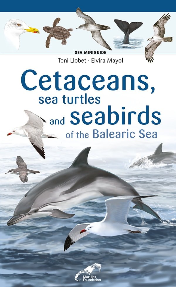 Könyv CETACEANS SEA TURTLES AND SEABIRDS ON THE BALEARIC SEA ELVIRA MAYOL