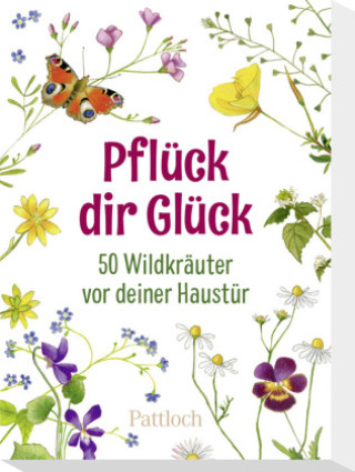 Jogo/brinquedo Pflück dir Glück Pattloch Verlag