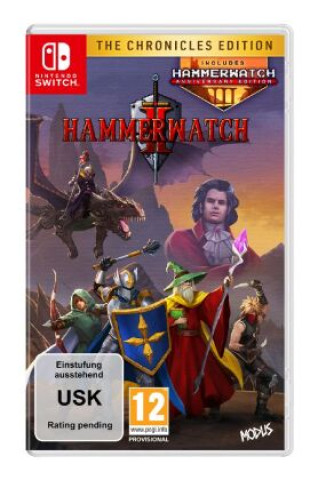 Carte Hammerwatch 2, 1 Nintendo Switch-Spiel (Chronicles Edition) 