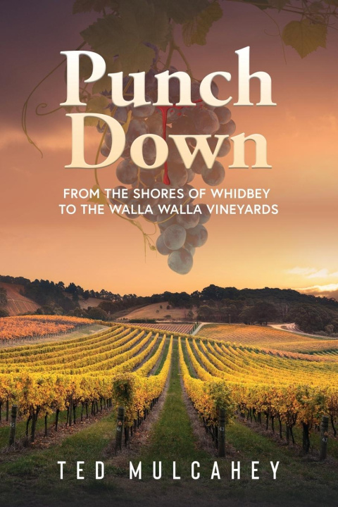 Kniha Punch Down ted mulcahey