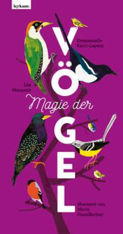 Book Magie der Vögel Léa Maupetit