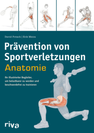 Kniha Prävention von Sportverletzungen - Anatomie Erik Meira