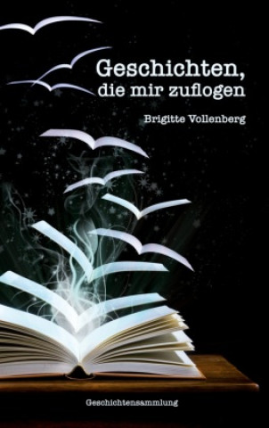Boek Geschichten, die mir zuflogen Brigitte Vollenberg