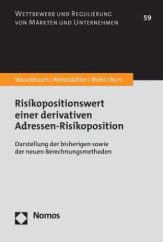 Kniha Risikopositionswert einer derivativen Adressen-Risikoposition Gabriela Reinstädtler