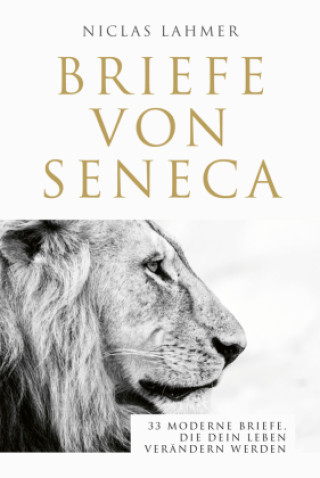 Boek Briefe von Seneca Niclas Lahmer