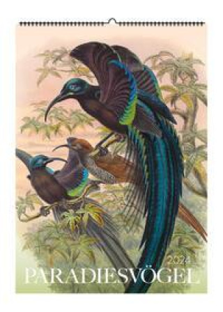 Kalendář/Diář Paradiesvögel. Wandkalender 2024 John James Audubon