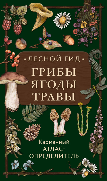 Carte Лесной гид: грибы, ягоды, травы. Карманный атлас-определитель 