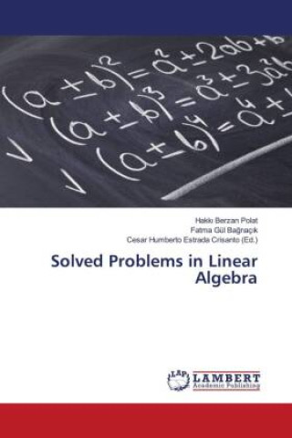 Knjiga Solved Problems in Linear Algebra Hakki Berzan Polat