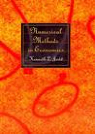 Kniha Numerical Methods in Economics Judd