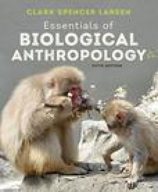 Kniha Essentials of Biological Anthropology Larsen