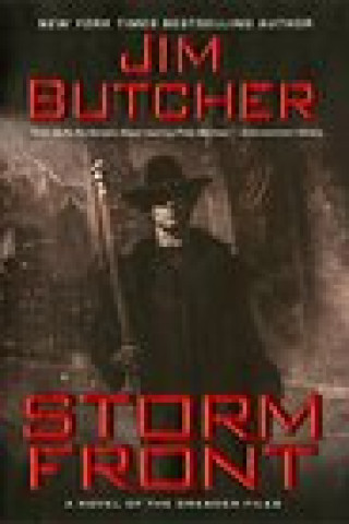 Kniha Storm Front Butcher