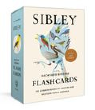 Könyv SIBLEY BACKYARD BIRDING FLASHCARDS REV & SIBLEY DAVID ALLEN