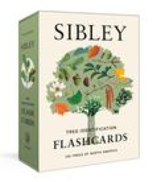 Buch SIBLEY TREE IDENTIFICATION FLASHCARDS SIBLEY DAVID ALLEN