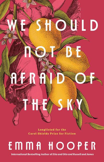 Boek WE SHOULD NOT BE AFRAID OF THE SKY HOOPER EMMA