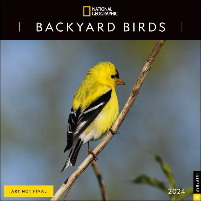 Kalendář/Diář CAL 24 NATIONAL GEOGRAPHIC BACKYARD BIRD WALL