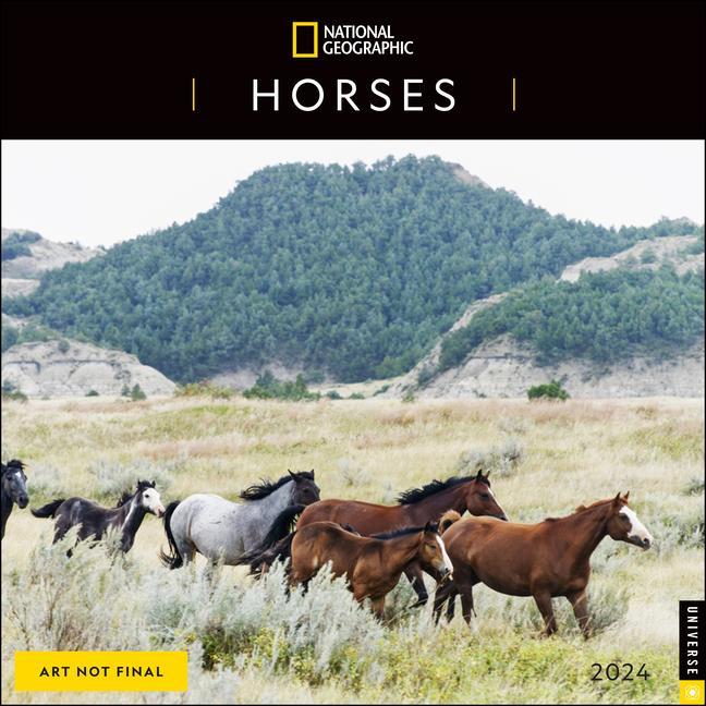 Calendar / Agendă CAL 24 NATIONAL GEOGRAPHIC HORSES 2024 WALL