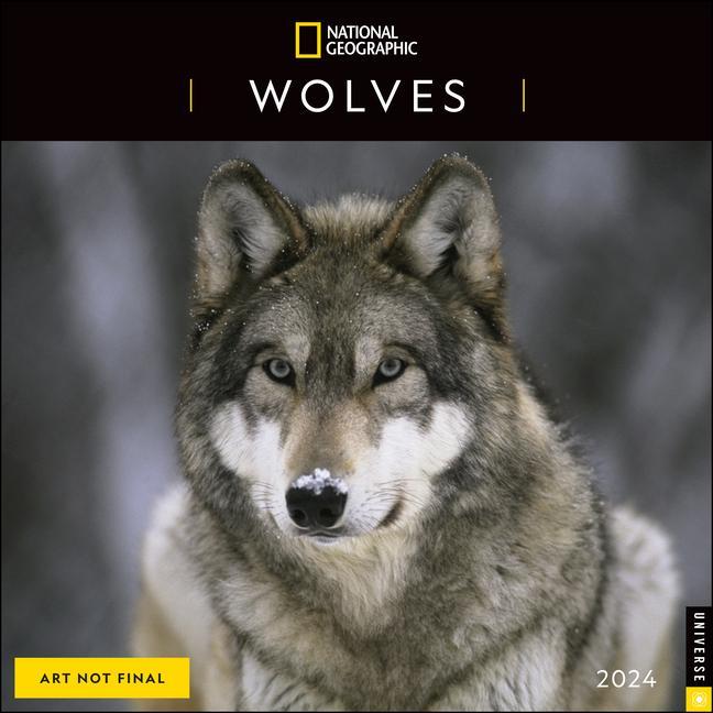 Calendar/Diary CAL 24 NATIONAL GEOGRAPHIC WOLVES 2024 WALL
