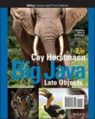 Könyv Big Java: Late Objects Horstmann