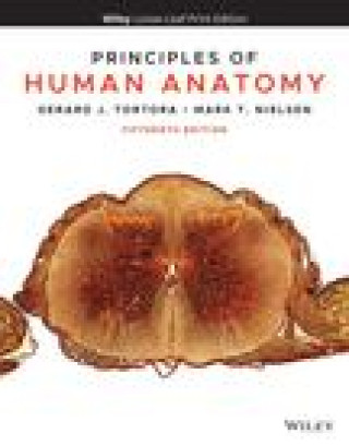 Книга Principles of Human Anatomy Tortora