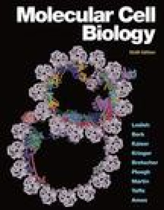 Kniha Molecular Cell Biology Lodish