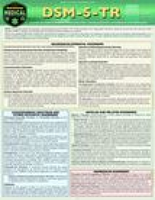 Kniha DSM-5-TR Overview : A QuickStudy Laminated Reference Guide Bernstein