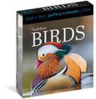 Naptár/Határidőnapló CAL 24 AUDUBON BIRDS PAGE A DAY GALLERY BOX