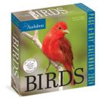 Naptár/Határidőnapló CAL 24 AUDUBON BIRDS PAGE A DAY BOX