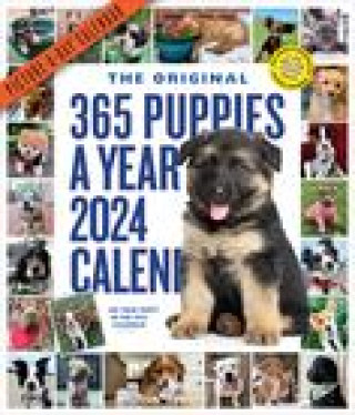 Calendar / Agendă CAL 24 365 PUPPIES A YEAR PICTURE A DAY WALL