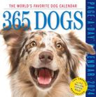 Kalendár/Diár CAL 24 365 DOGS PAGE A DAY BOX