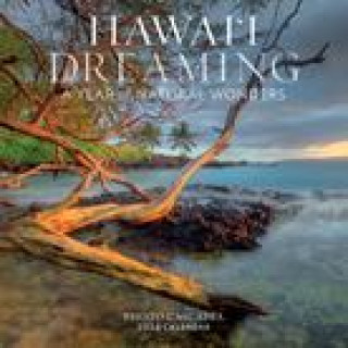 Kalender/Terminbuch CAL 24 HAWAII DREAMING WALL