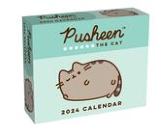 Calendar / Agendă CAL 24 PUSHEEN 2024 DAY TO DAY CALENDAR BOX