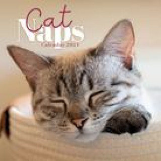 Calendar / Agendă CAL 24 CAT NAPS MINI WALL CALENDAR WALL
