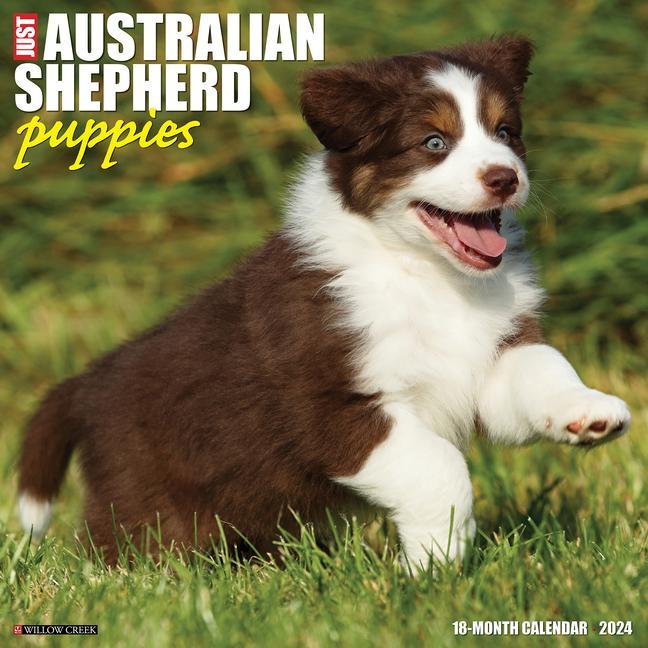 Calendrier/agenda CAL 24 AUSTRALIAN SHEPHERD PUPPIES WALL